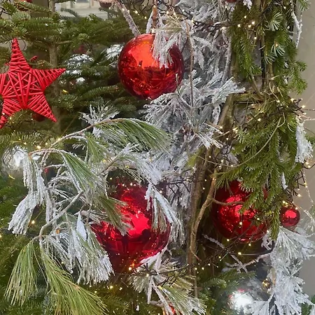 Ibis Centre Hotel 3*