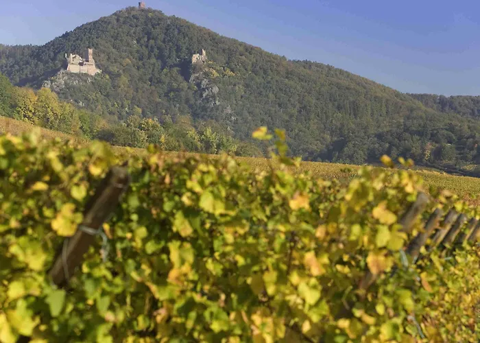 Hotel Ibis Centre Colmar