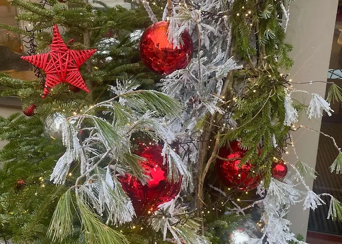 Ibis Centre Готель 3*